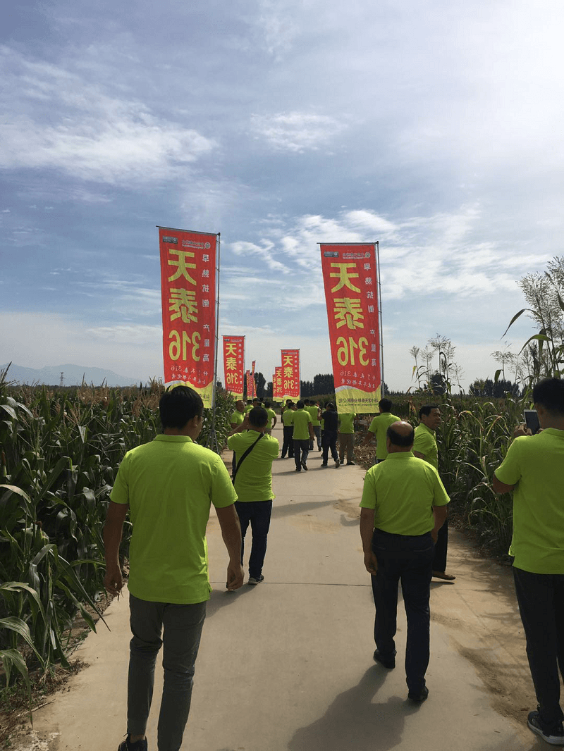 山东中农天泰种业客户代表恳谈会圆满结束