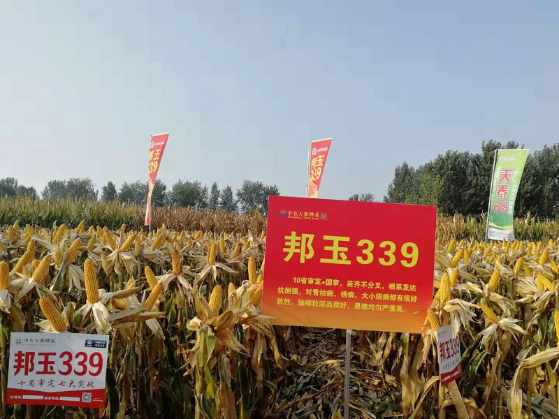 图片2.png
