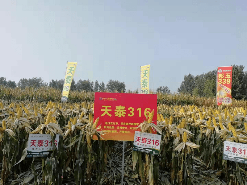 图片3.png