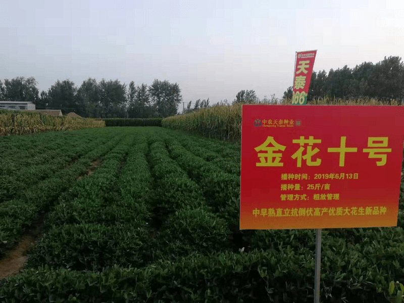 图片6.png