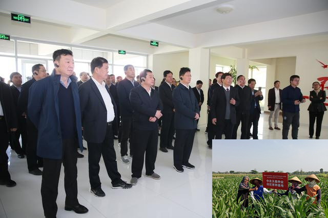图片04.png