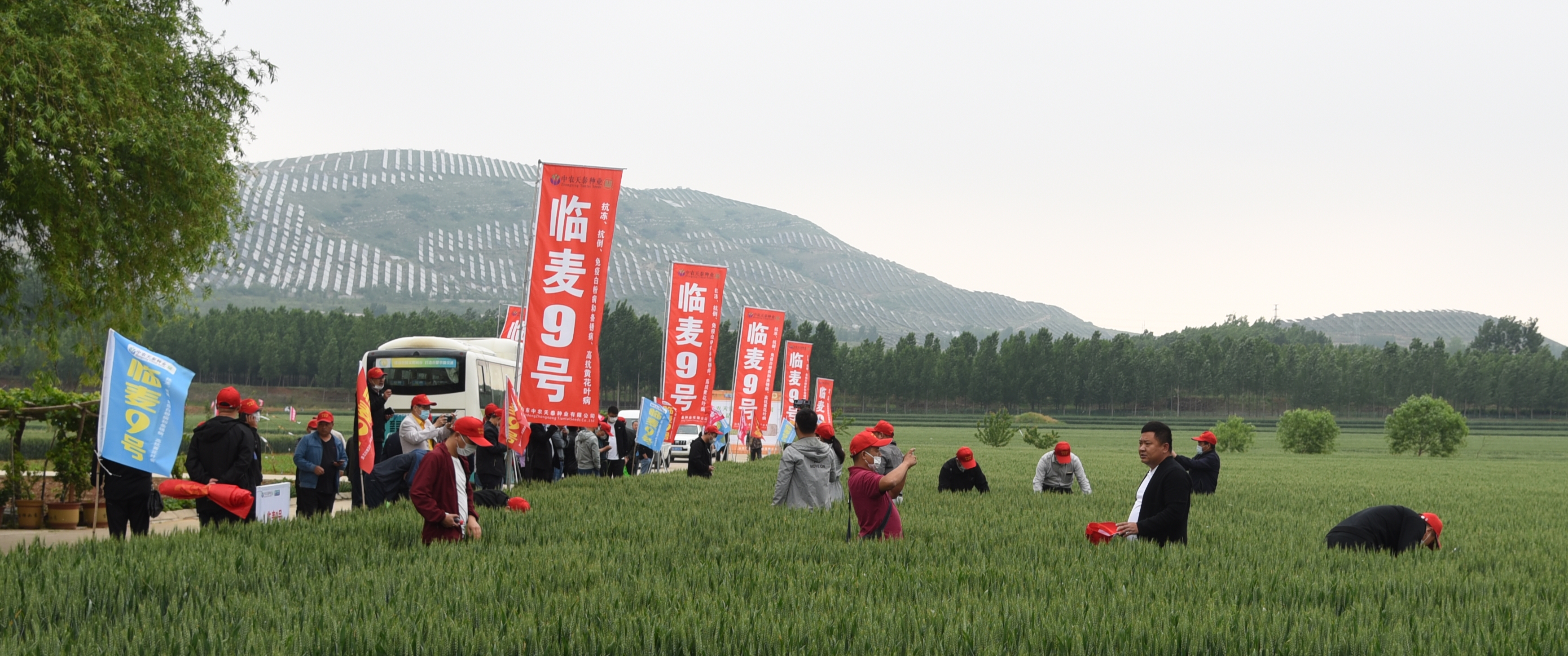 微信图片_20200512092424.jpg
