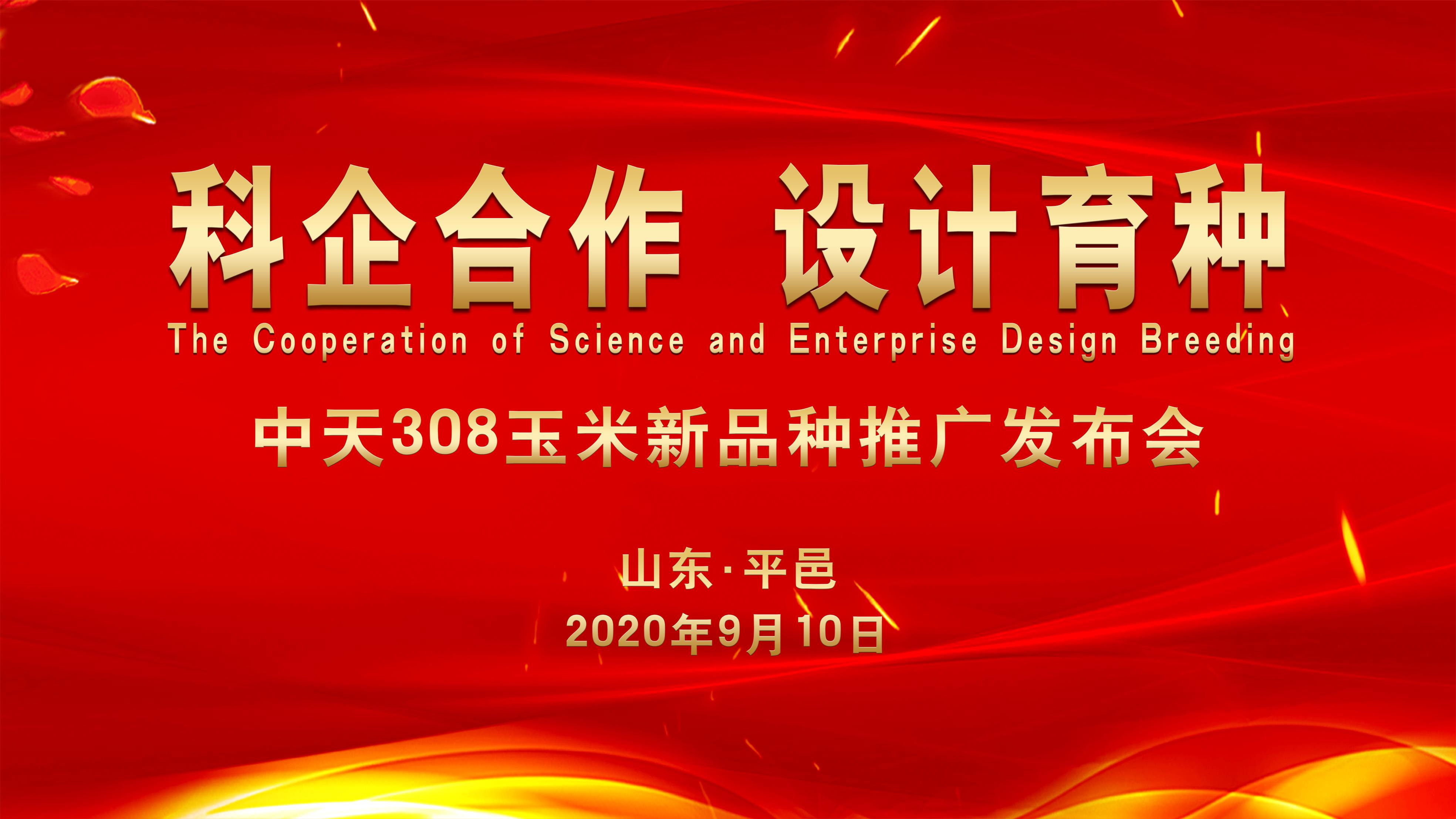 微信图片_20200911132706.jpg