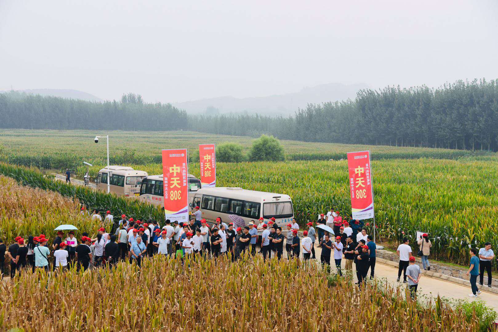 微信图片_20200911091757.jpg