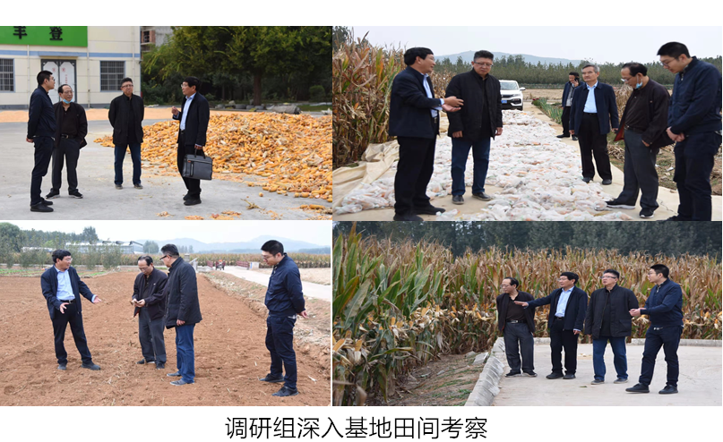 图片1_副本.png