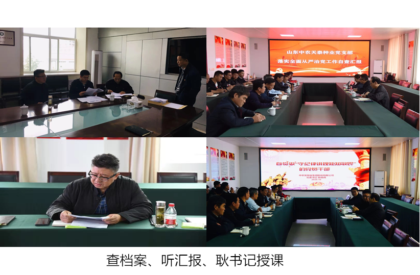 图片2_副本.png