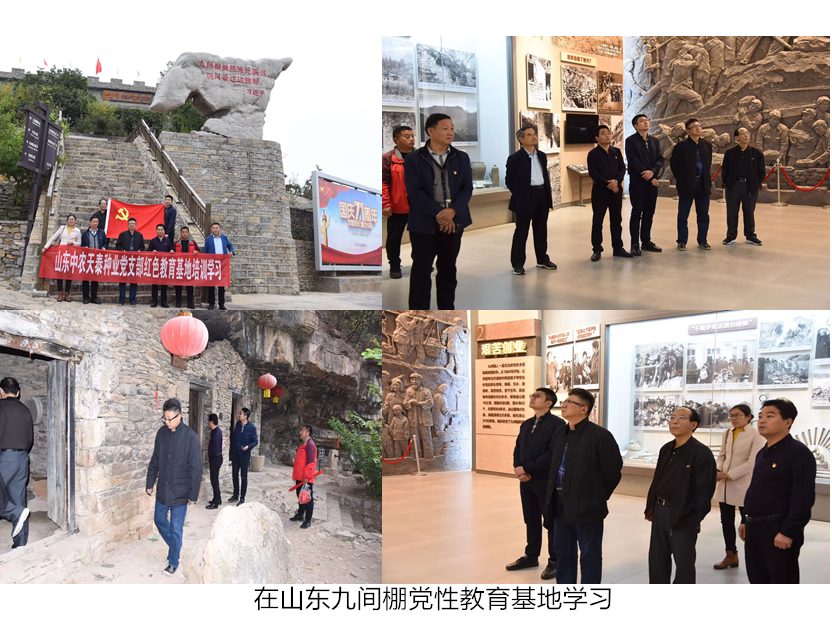图片3_副本.png