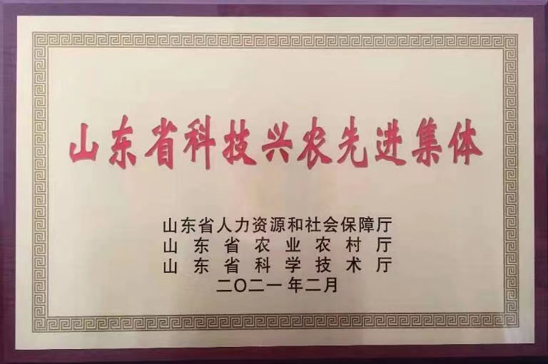 微信图片_20210304102628.jpg