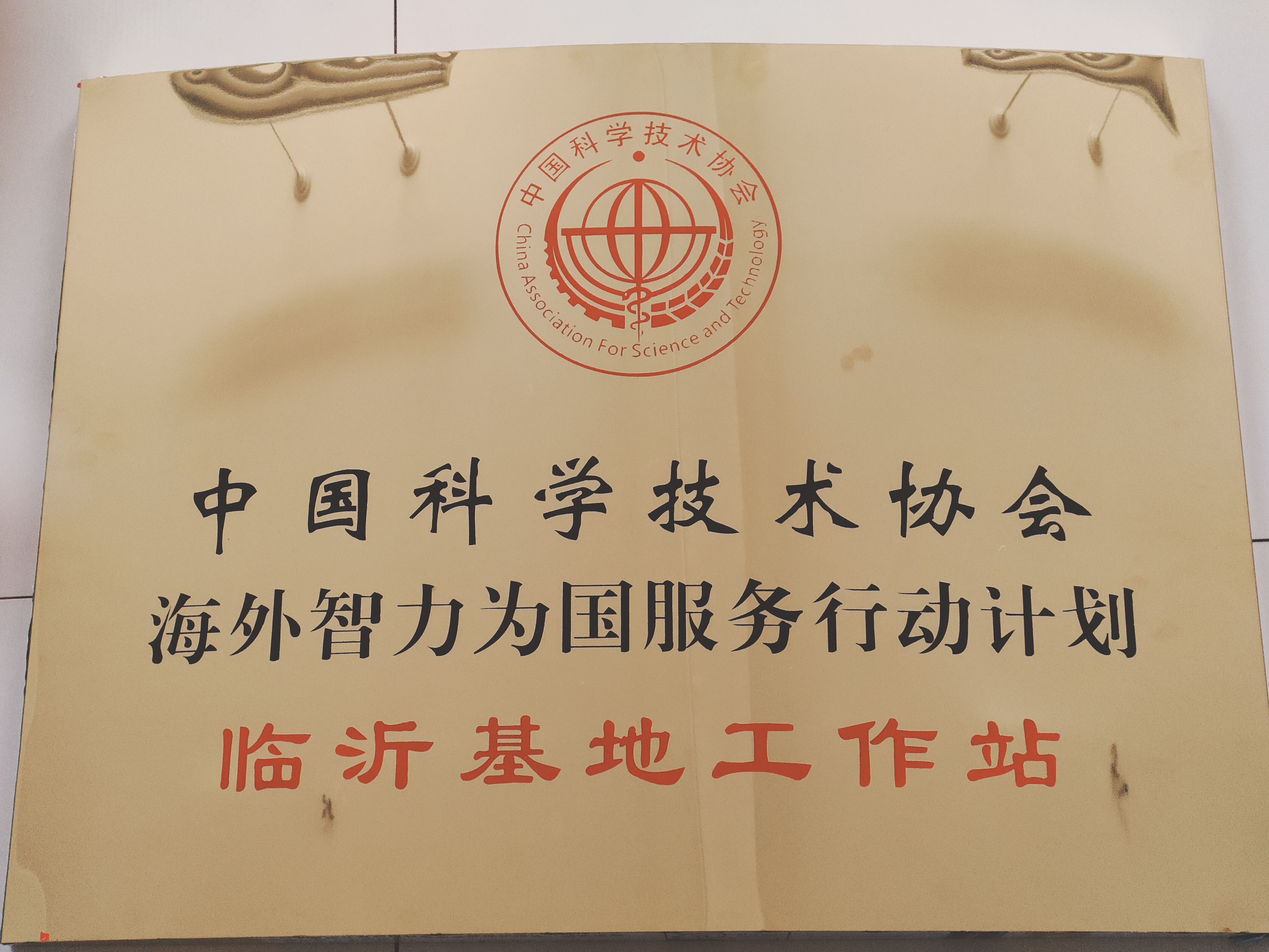 临沂基地工作站-海外智力为国服务行动计划.jpg