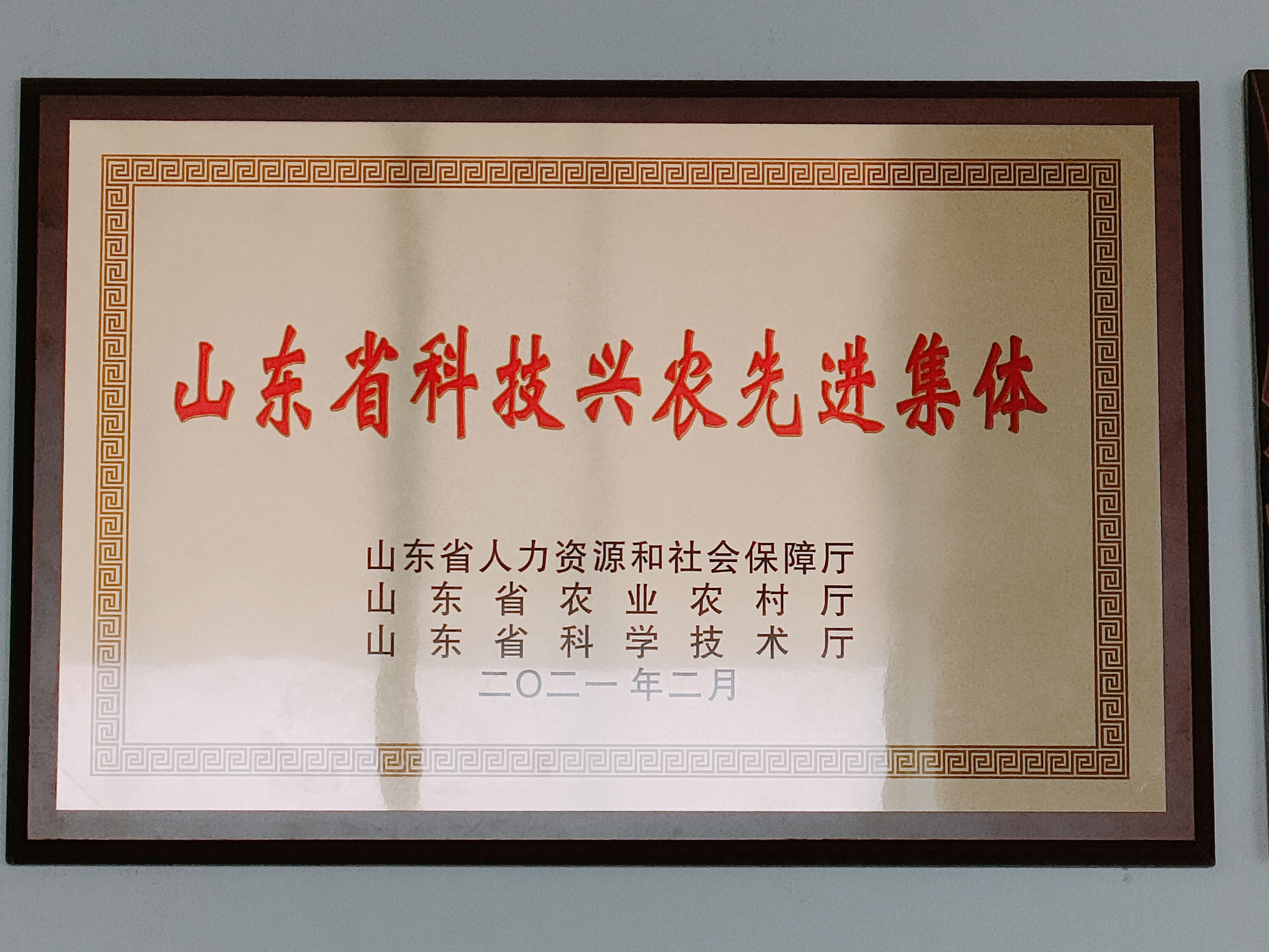 山东省科技兴农先进集体.jpg