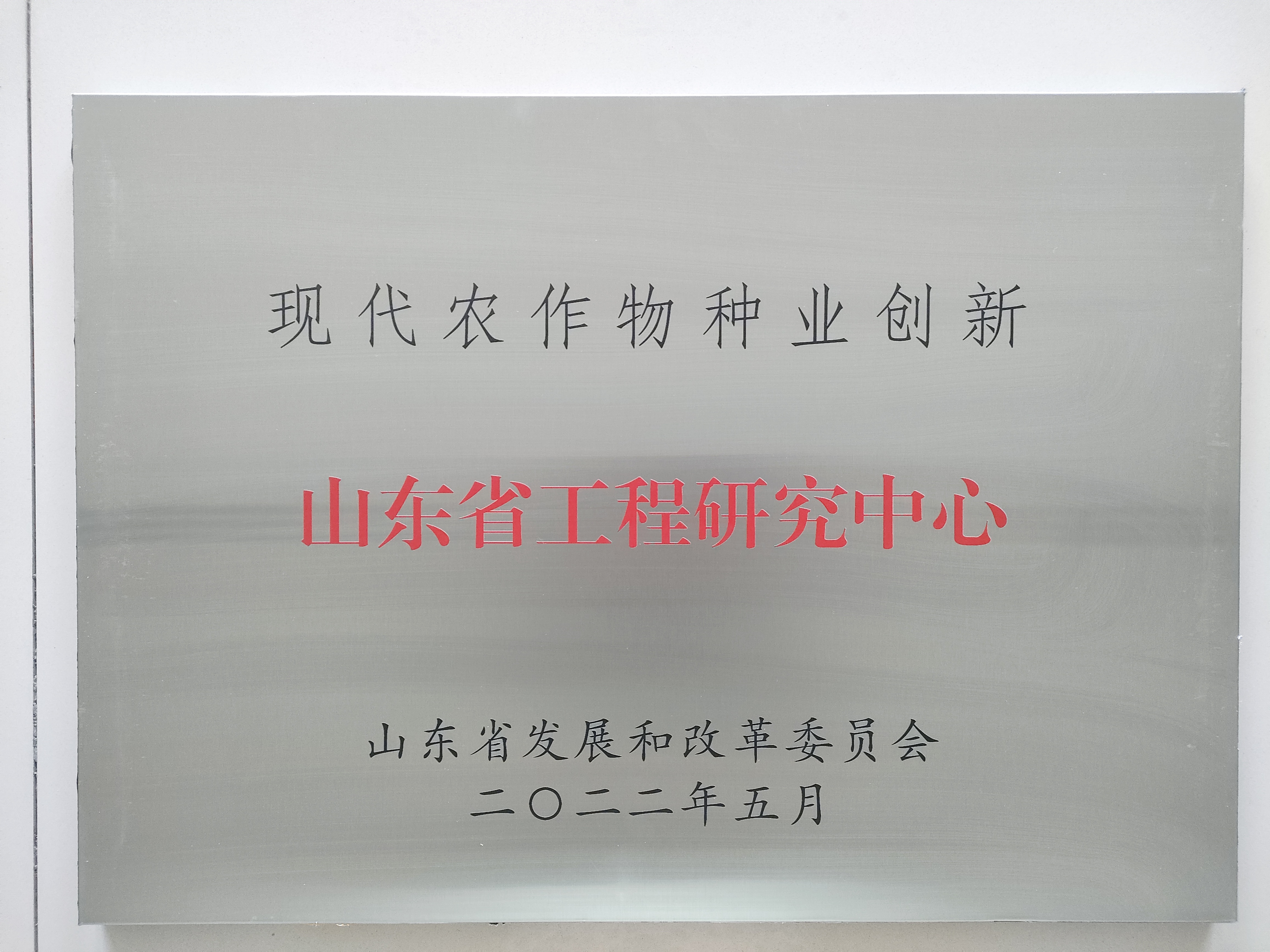 现代农作物种业创新-山东工程技术中心.jpg