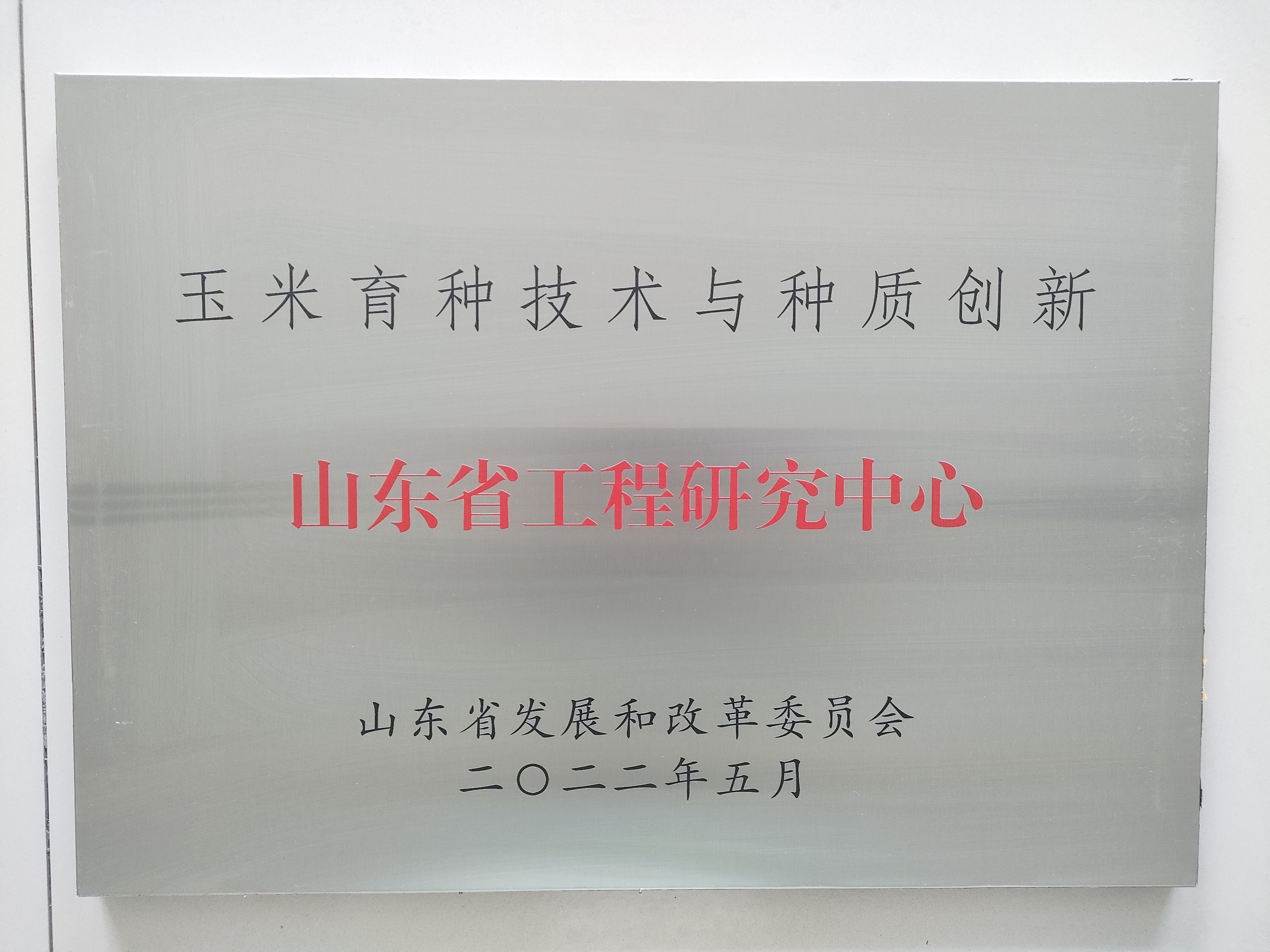 玉米育种技术与种质创新-山东工程技术中心.jpg