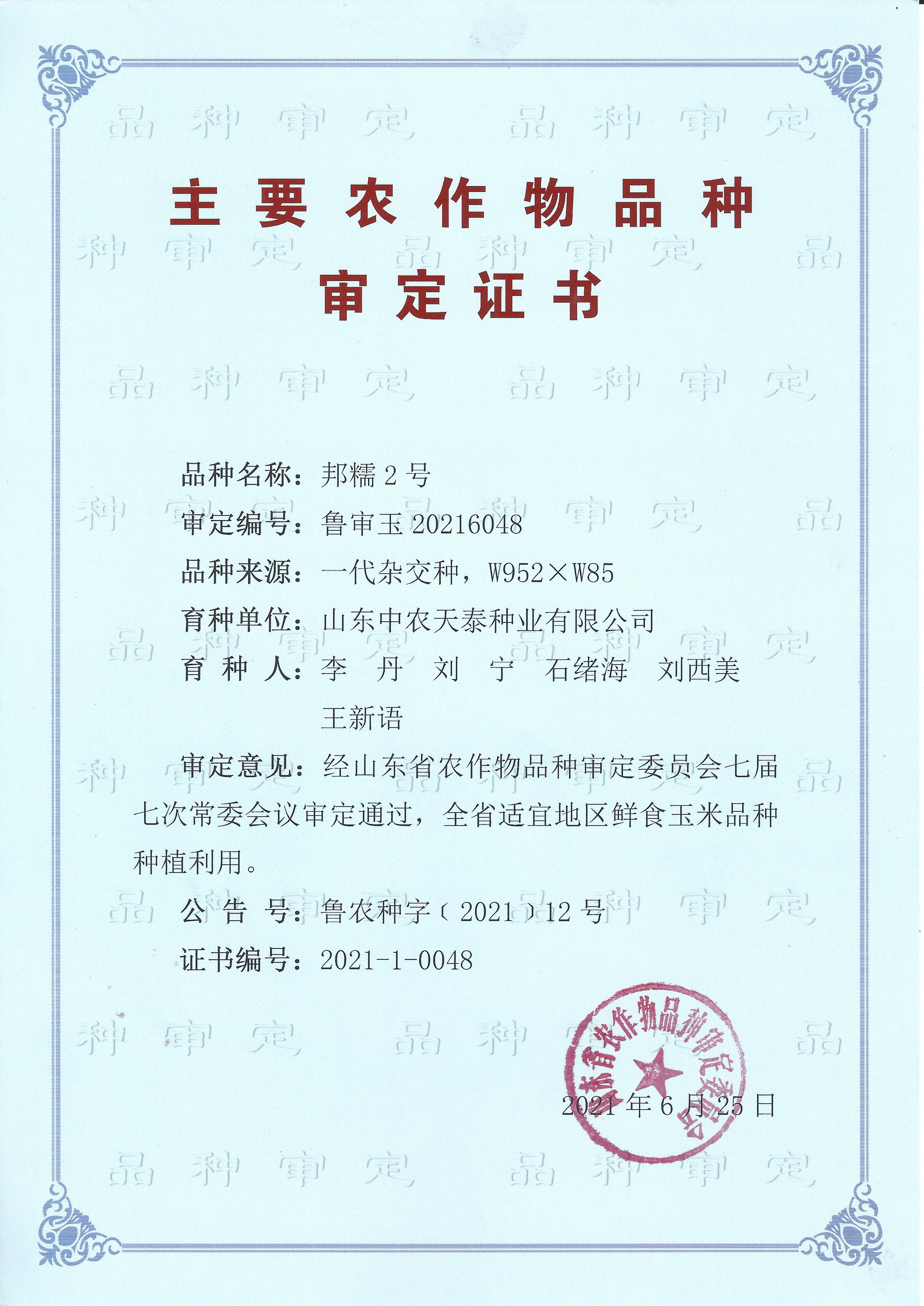 邦糯2号-2021.jpg