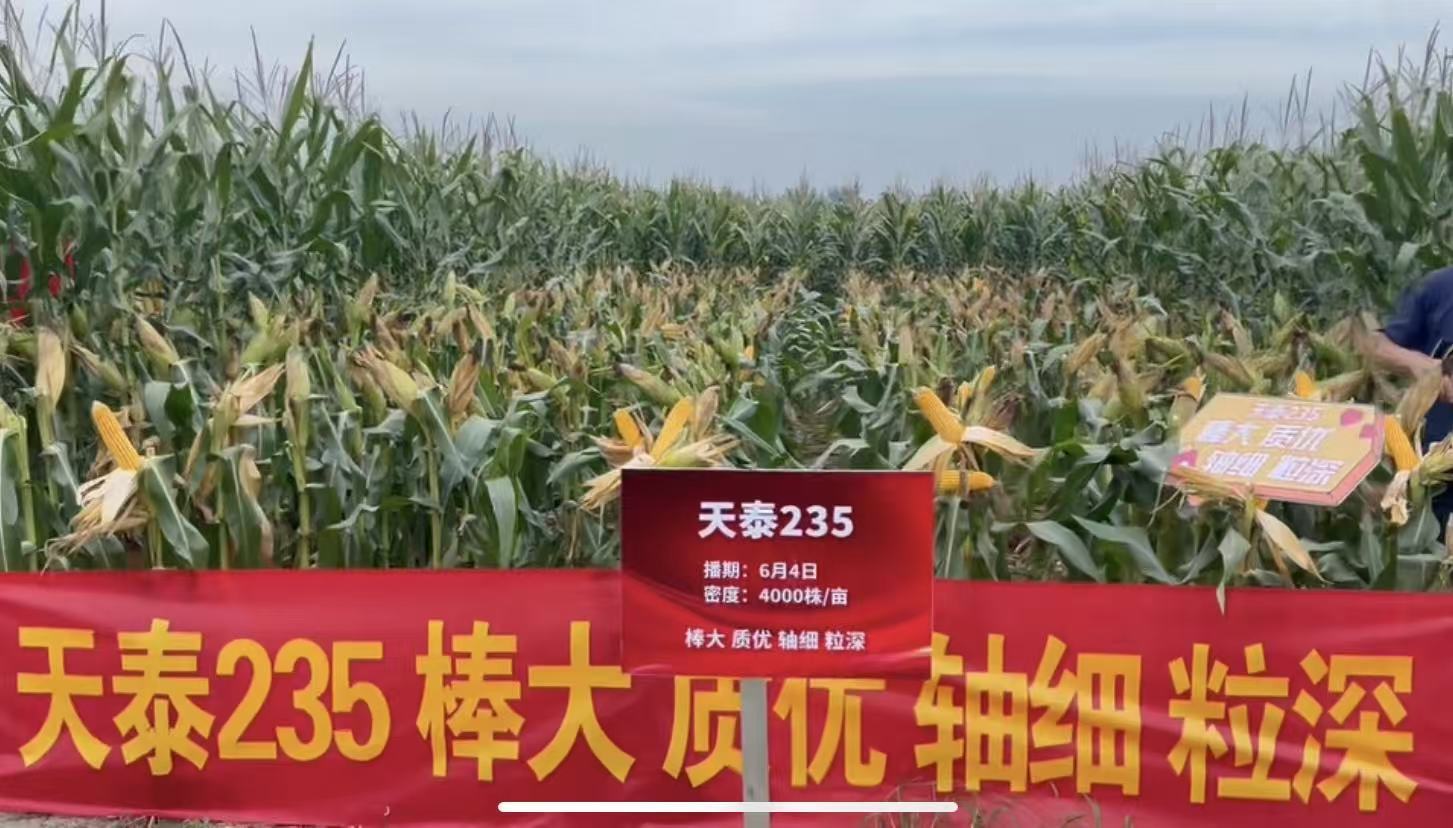 图片8.png