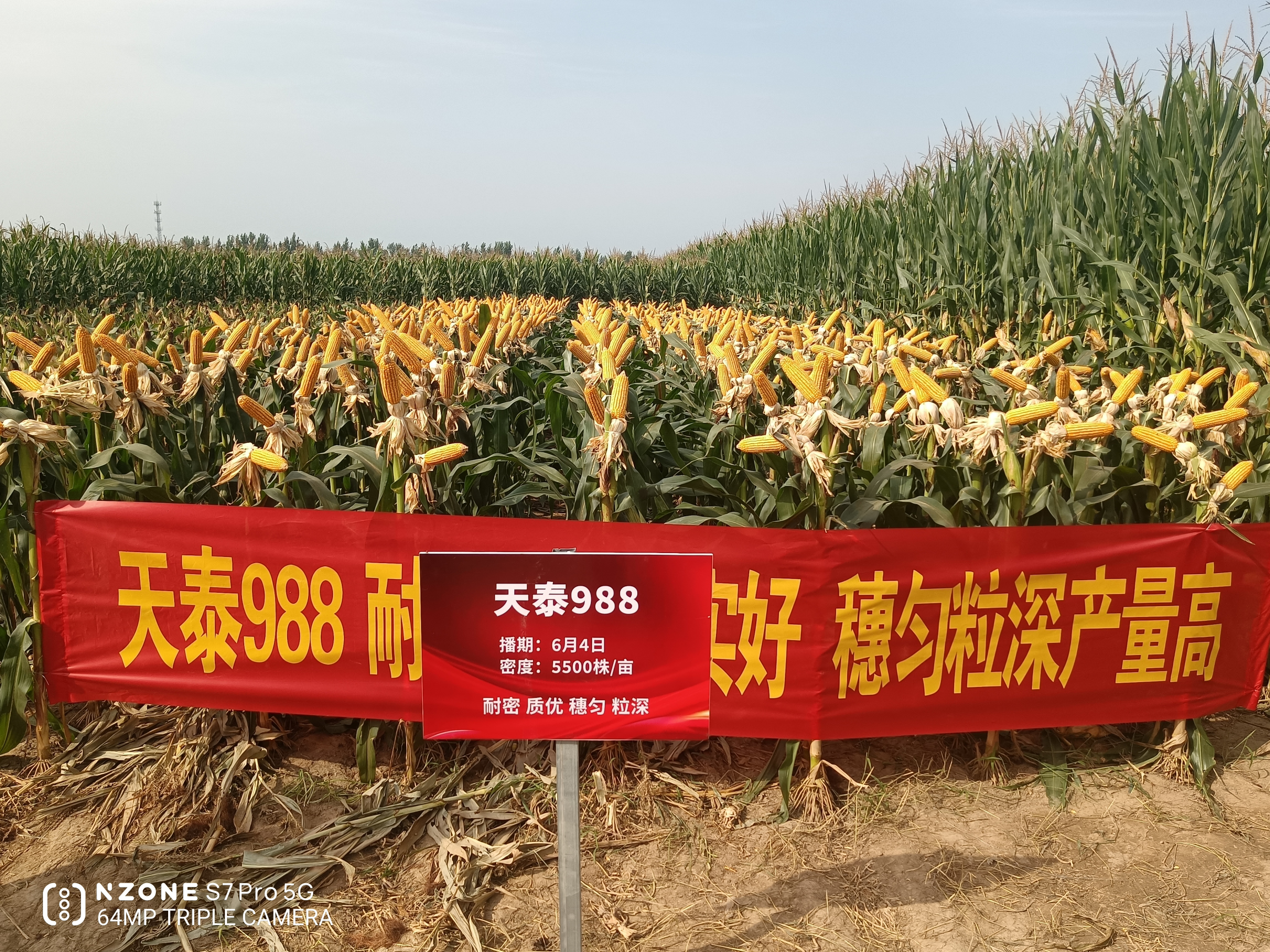 图片10(1).png