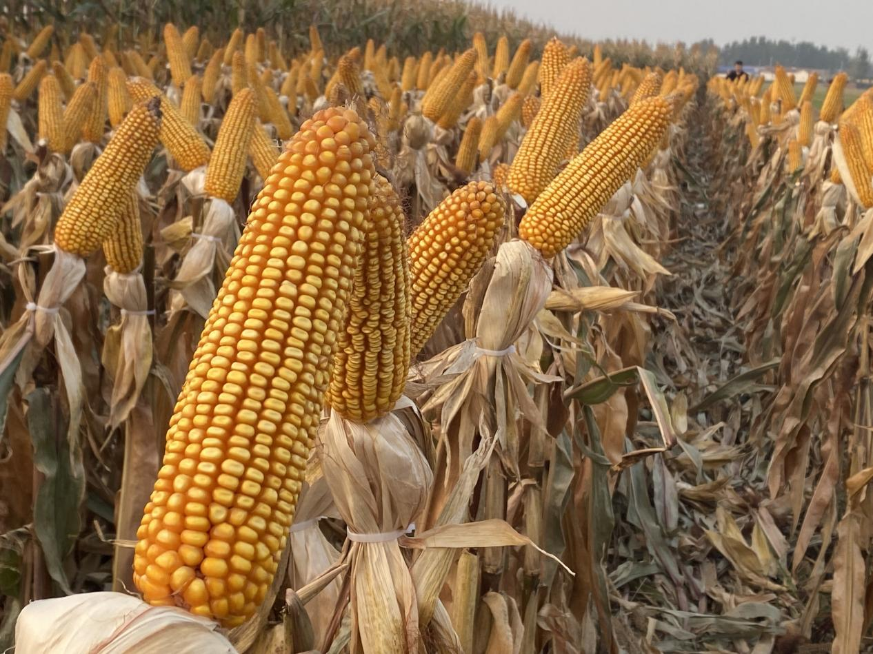 图片2.png 图片2.png